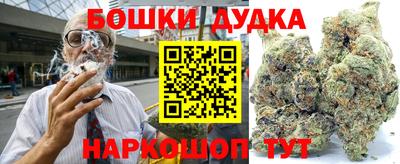 гидра Абакан