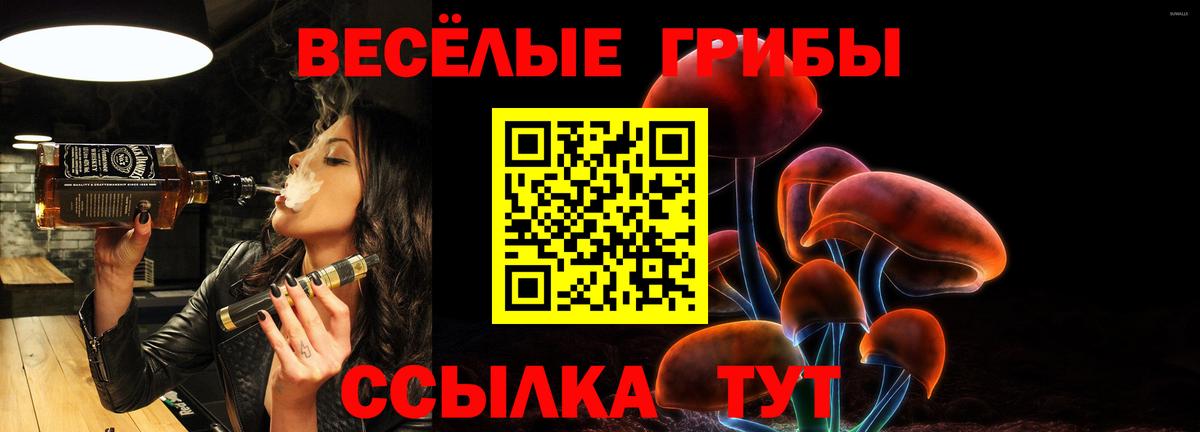 Апшеронск  Галлюциногенные грибы Psilocybe  Вход с VPN 